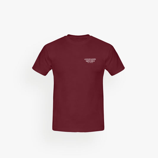 Classic Shirt Velvet Wine · 23X101-2