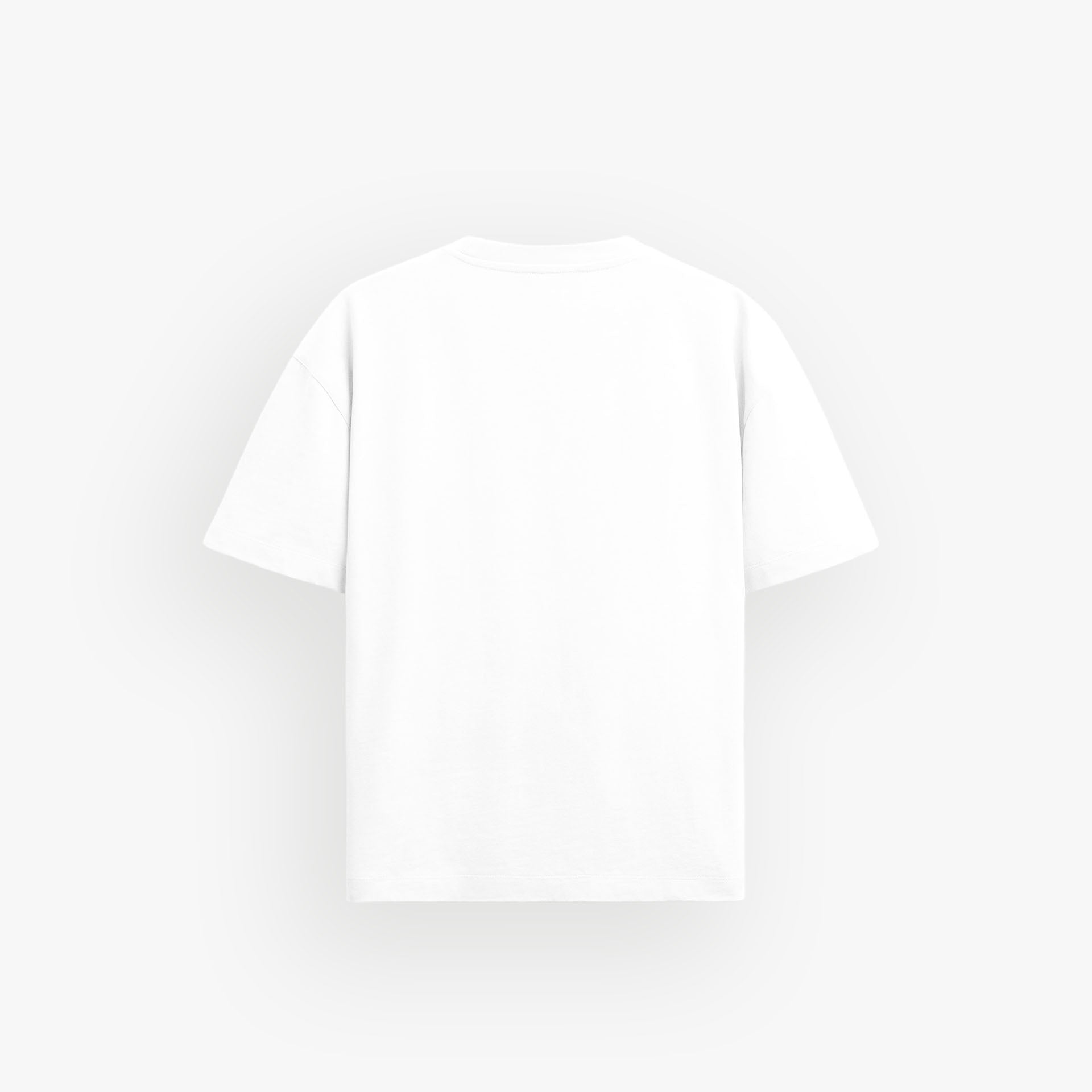 Premium Oversized Shirt · 23X206-1