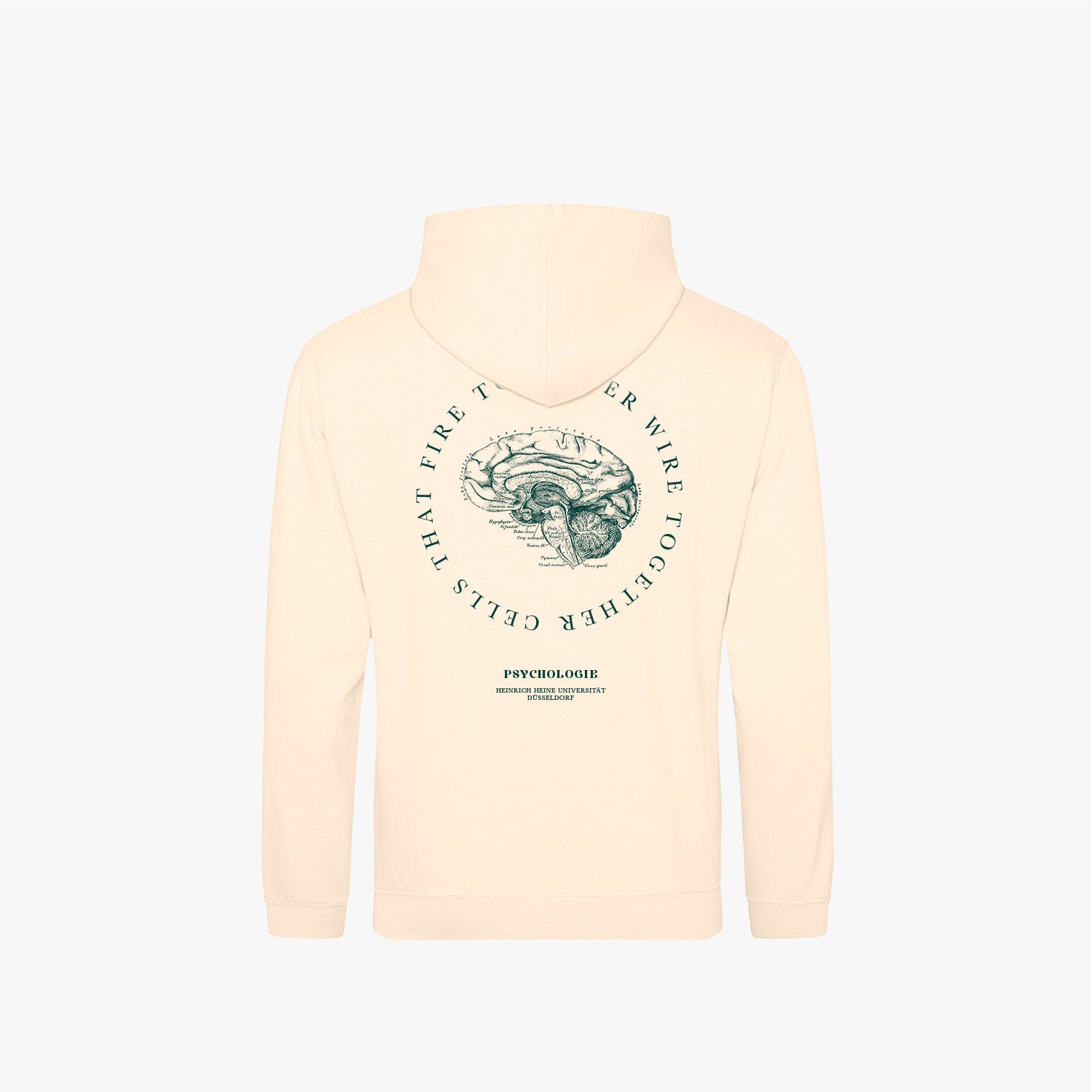 Vanilla